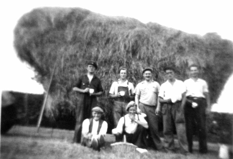 Haytime 2 - Thwaites 1957.JPG - Haytime at Thwaites Farm - 1957  From left to right   Back row:  - Joe Parker - John Parker - Frank Irving - Ted Kayley - and an Irishman  In front:  - Simon Thwaite & Richard Thwaite